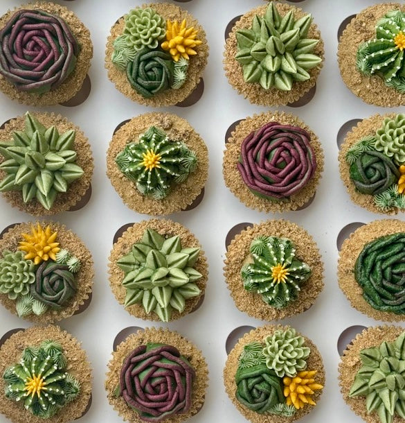 SUCCULENT CUPCAKES